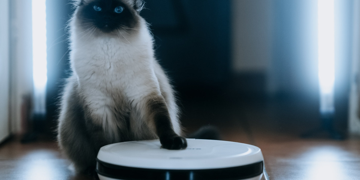 "The Best Rated Robot Vacuum Awards: The Most, Worst, And Most Bizarre Things We've Seen