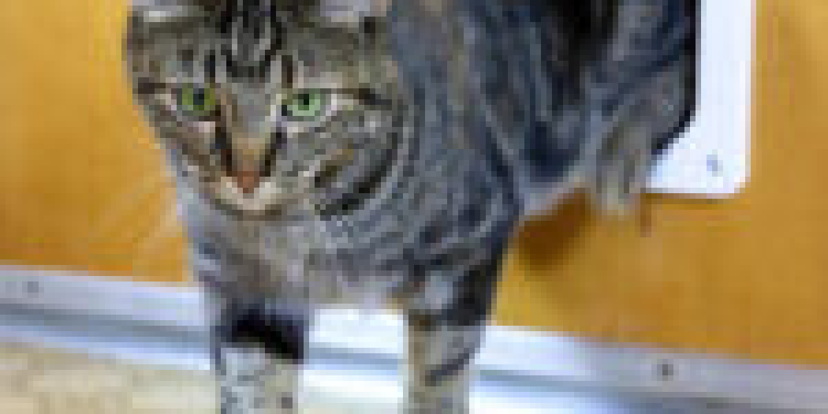 How Pet Entrance Installer Arose To Be The Top Trend In Social Media