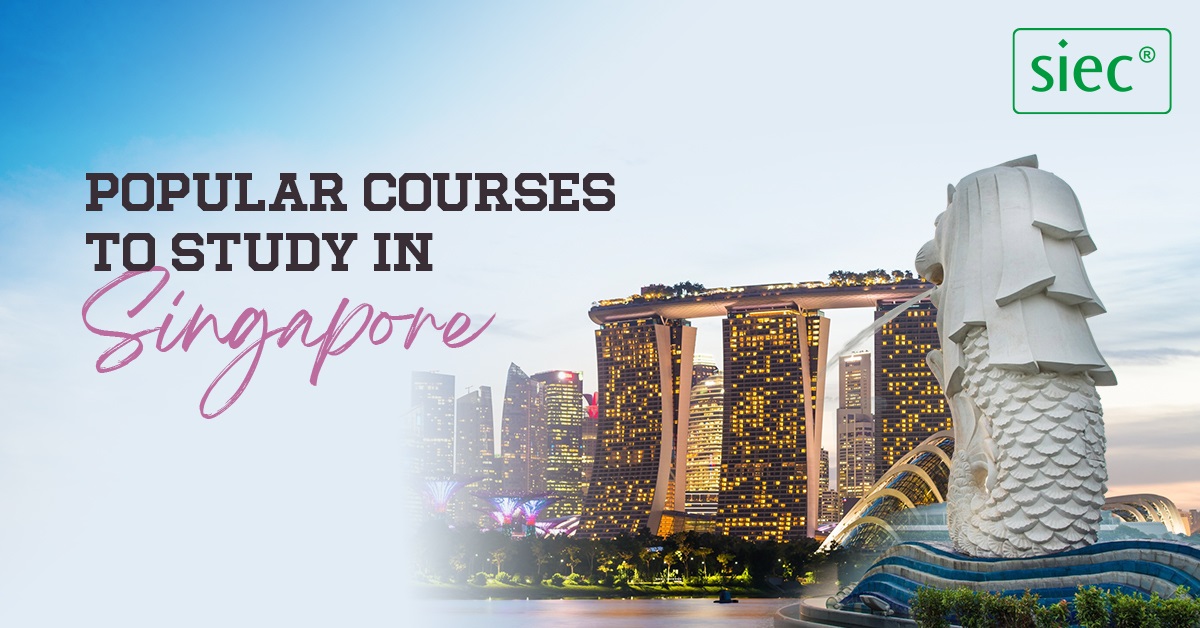 Popular courses to study in Singapore | Best Universities 2025
