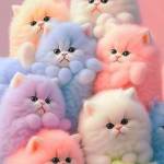 Smith alex Profile Picture