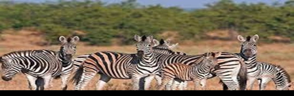 Kimgoni Tanzania Safaris Cover Image