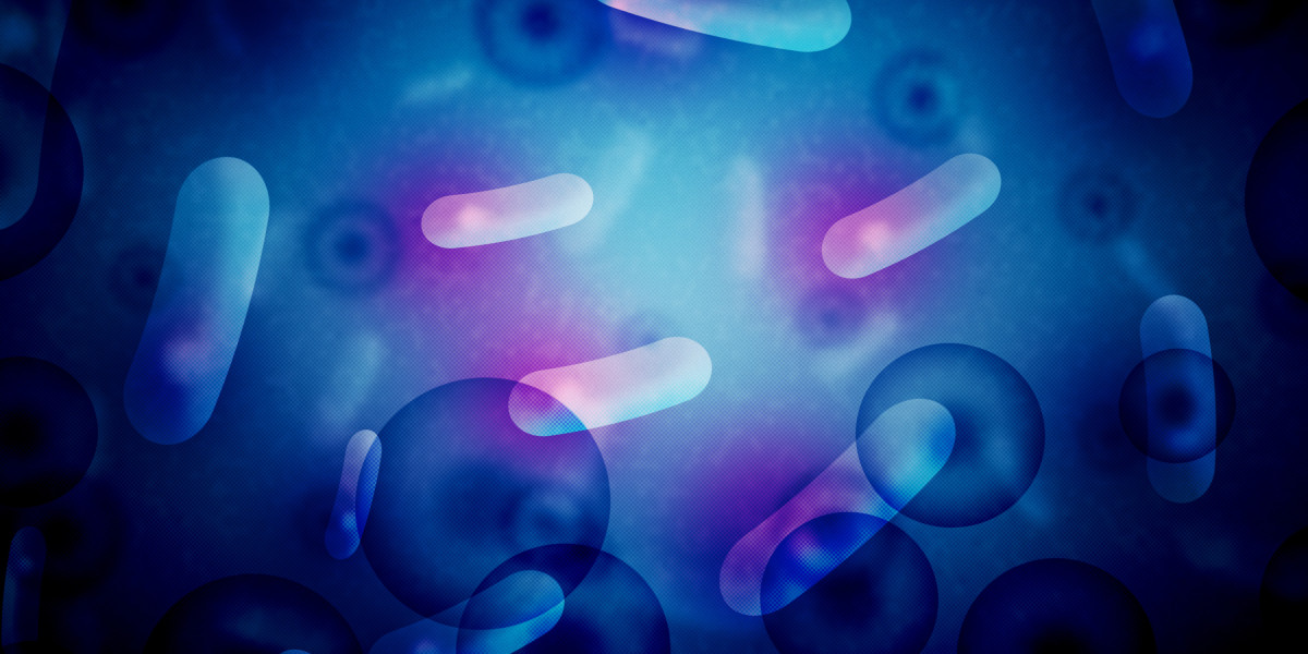 Understanding Gold IRA Accounts: A Complete Information