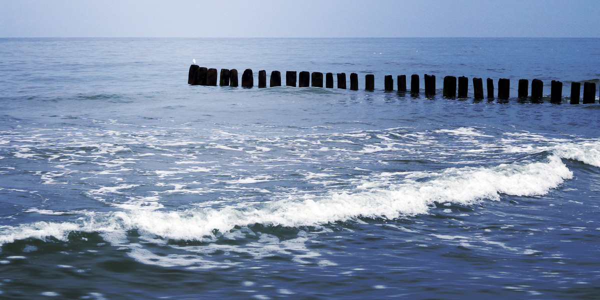 Guaranteed Loan Approval No Credit Check Online: A Comprehensive Information