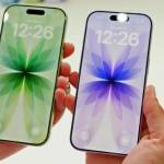 wise market Profile Picture