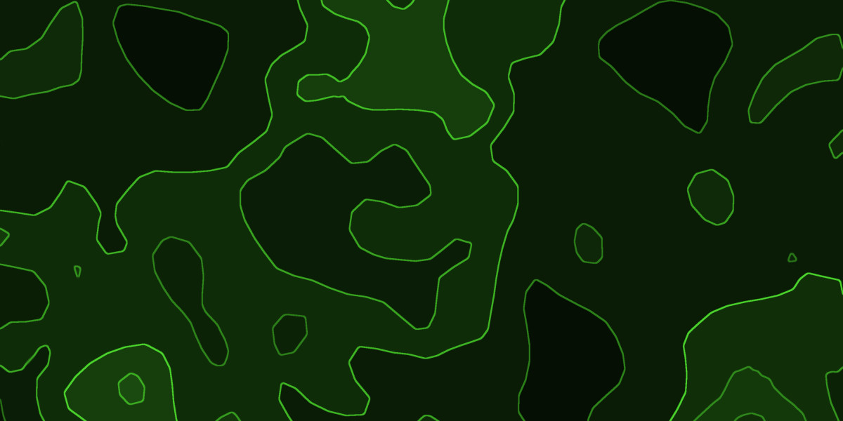 Understanding Payday Loan Lenders with No Credit Check