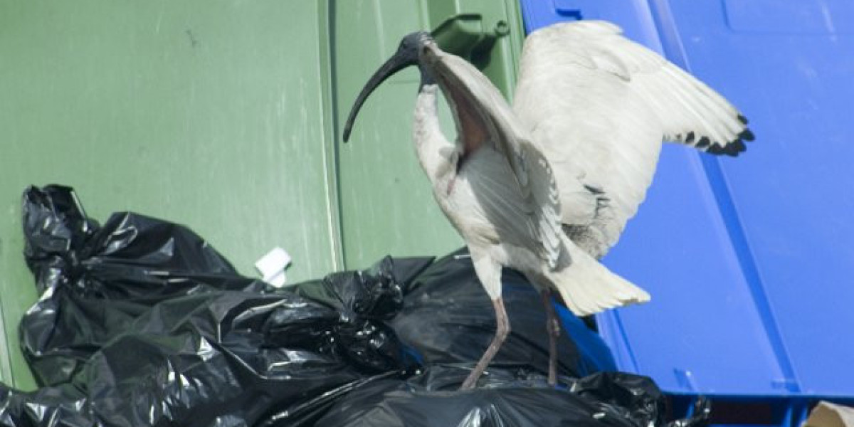 Top Games, Bonuses, & Mobile App