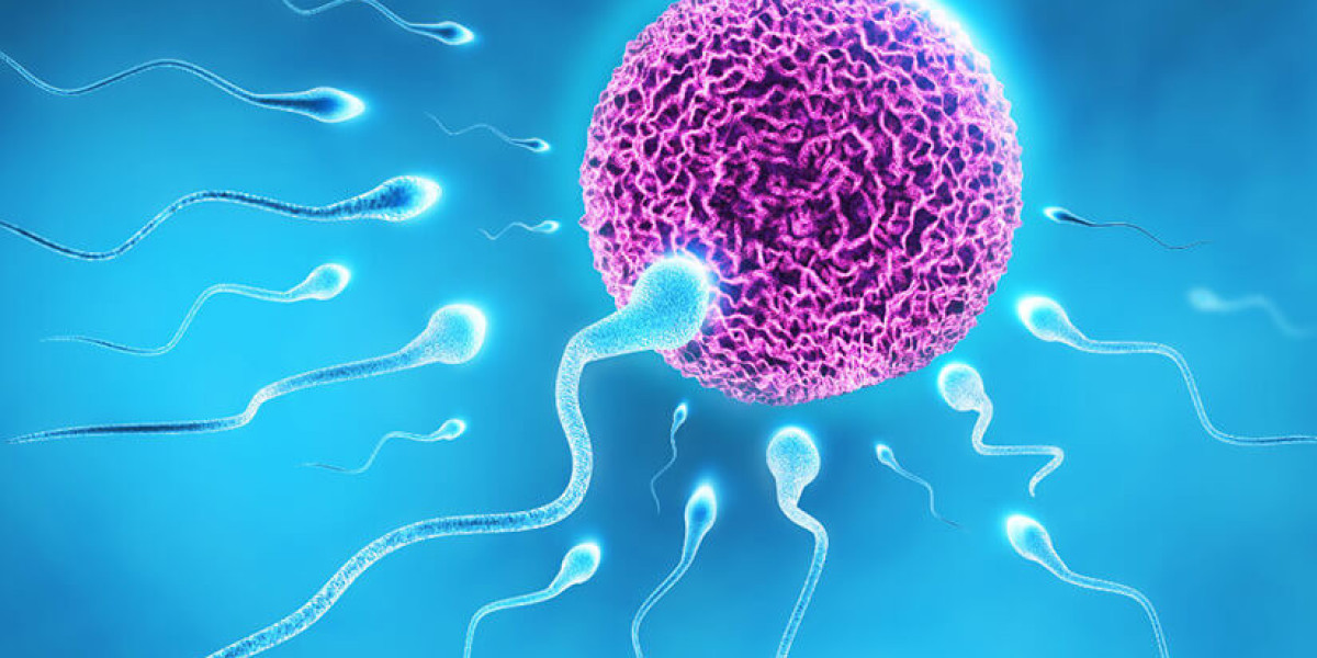 IVF Center in Bangalore: Success Rates, Cost, and What Couples Should Expect