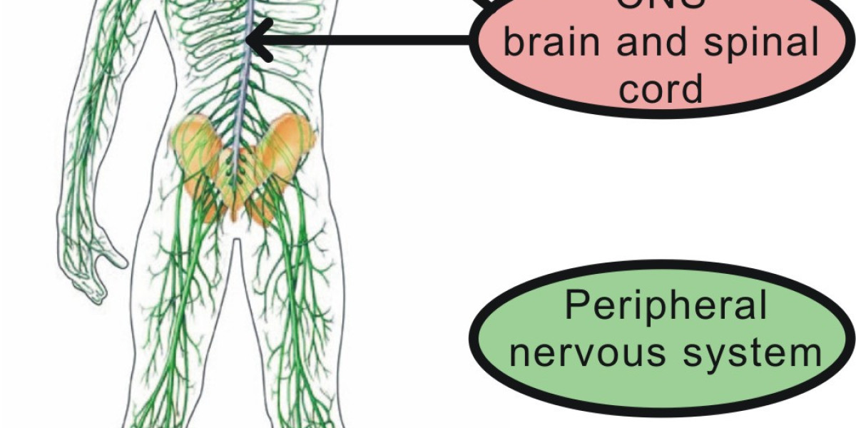 Global Pricing: Why the Cost of Iversun 12mg Varies So Widely.