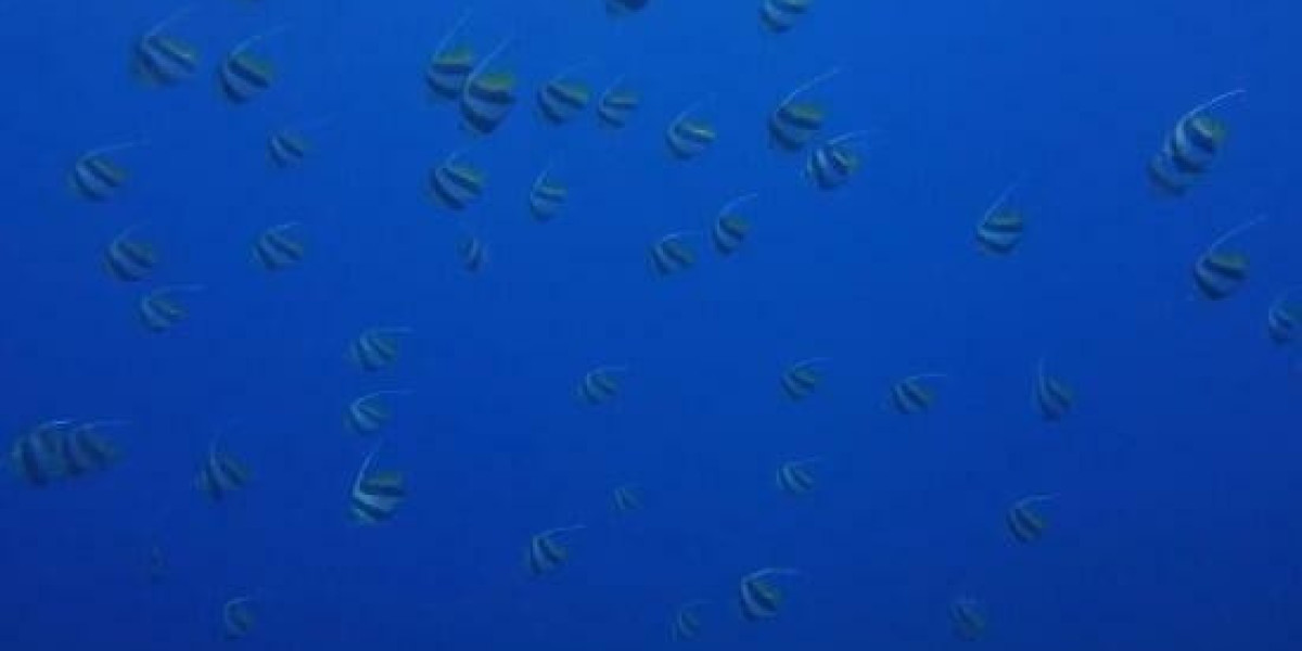 Who is the Owner of Bet9ja Company: Kunle Soname - Net Worth, and Increase in Nigeria