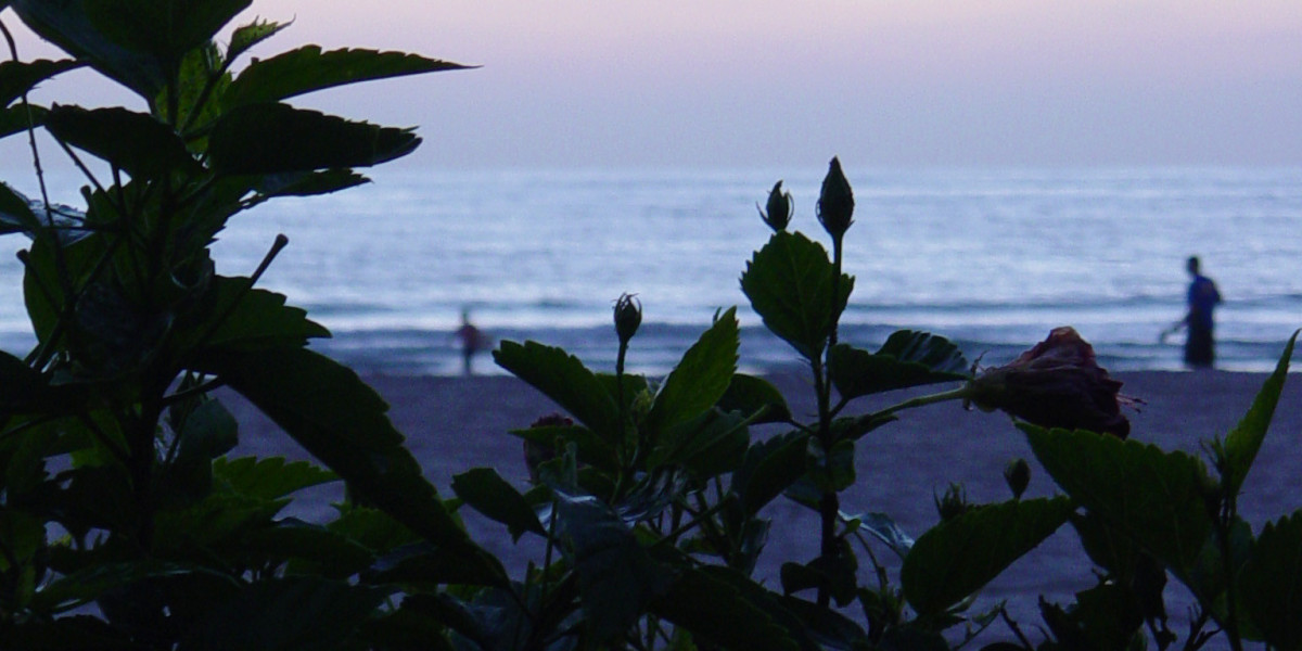 Login, Get a C$400 Welcome Bonus Today