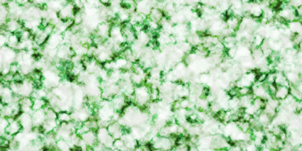 Investing in Gold and Silver IRAs: A Comprehensive Guide To Present Advances