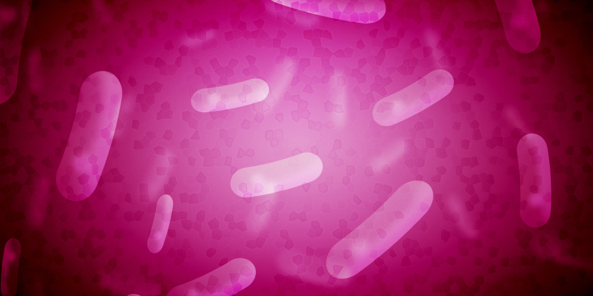 Observational Research on the Online Purchase of Modafinil: Trends, Risks, And Client Conduct