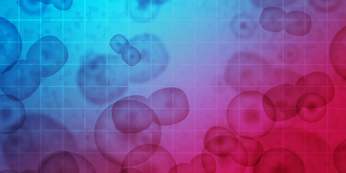 Understanding Installment Loans: No Credit Check Direct Lenders