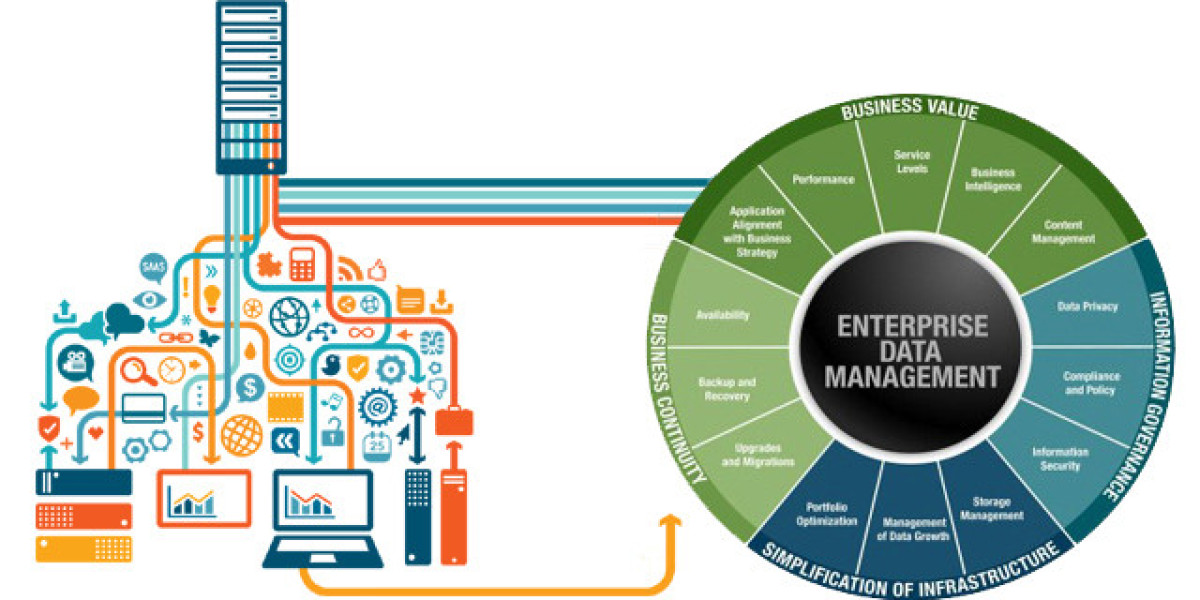 Analyzing the Reported Demand within the Europe Enterprise Data Management Market