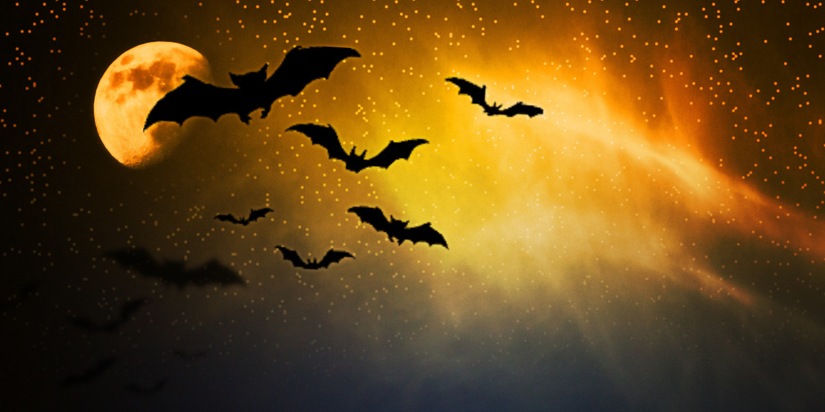 The Rising Pattern of Jet Cost Flights: What Travelers Have To Know