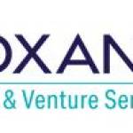 Roxana Tax Law Ventures Profile Picture