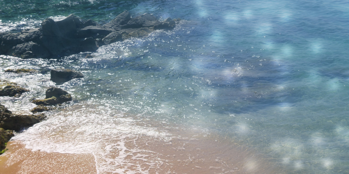 Exploring the Dynamics of Sugar Daddy Websites in the USA