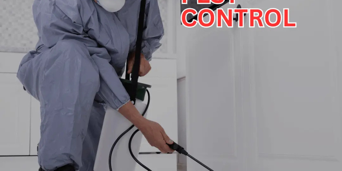 Comprehensive Pest Control Services for a Safe, Pest-Free Home