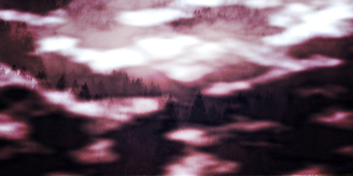 Exploring the Dynamics of Sugar Daddy Websites In Calgary: A Case Research