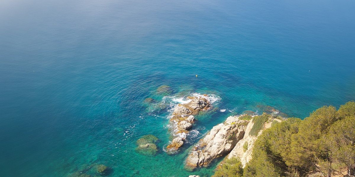 Evolution of Sugar Daddy Websites in 2022: A New Era of Online Relationships