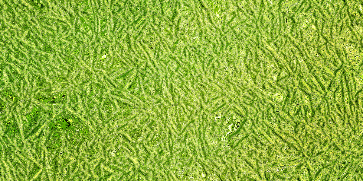 Understanding Modafinil and Next Day Supply Choices within The USA