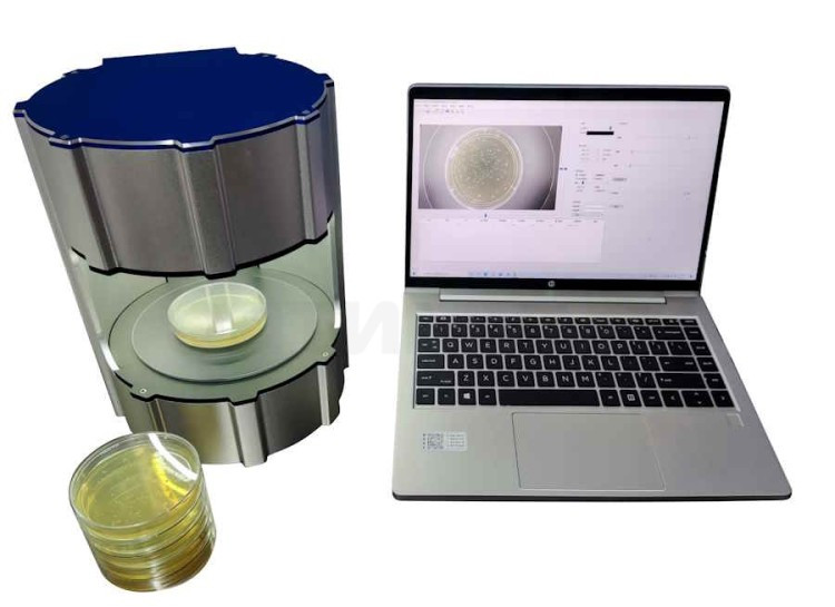 newlander Profile Picture