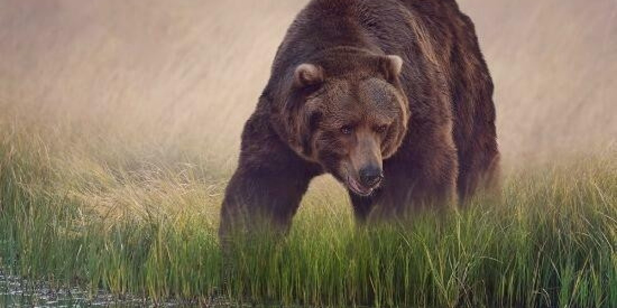 Millions Secured: Breaking Down A Stunning Bet9ja Triumph