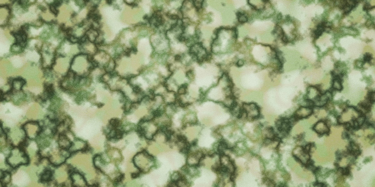 Exploring the Best Websites for Sugar Daddies: A Comprehensive Guide