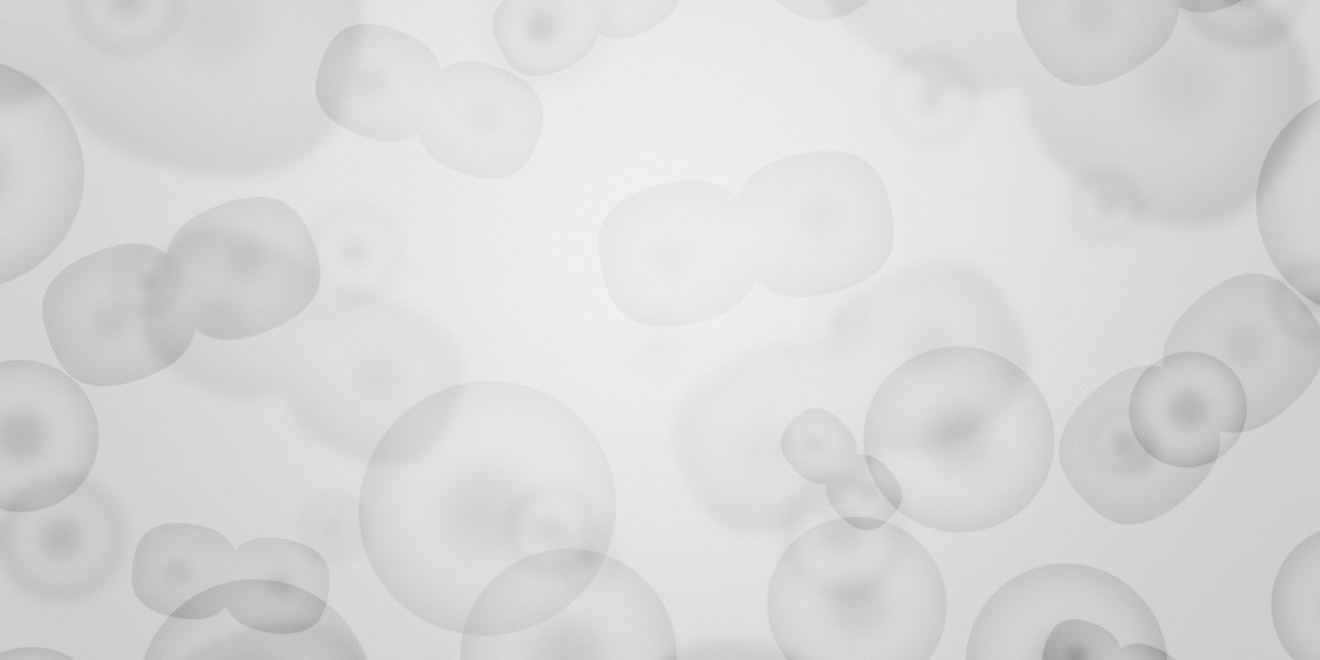 Exploring the World Of Private Aircraft Charter: A Complete Observational Research