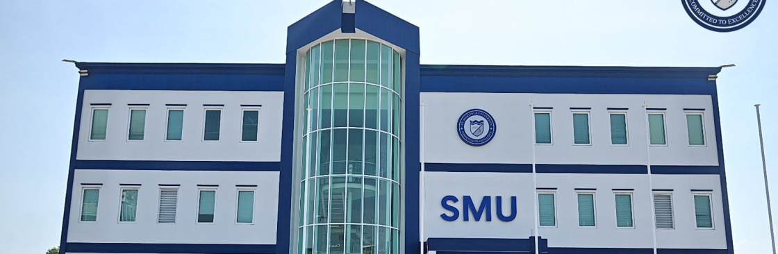 St Martinus Cover Image