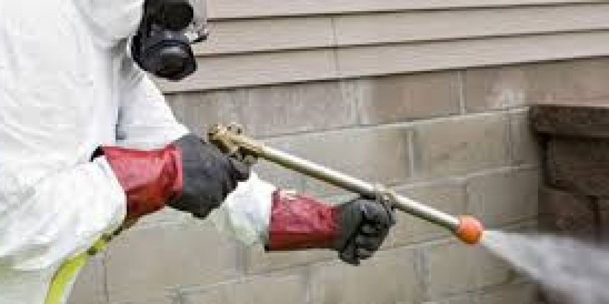 Effective Cockroach Control Lahore for Healthy and Hygienic Spaces