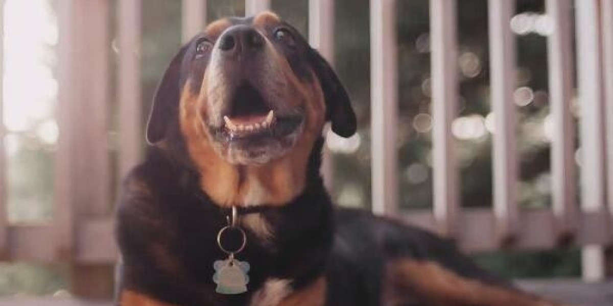 Chelsea Should’ve Signed Osimhen Instead of Delap or Mikel