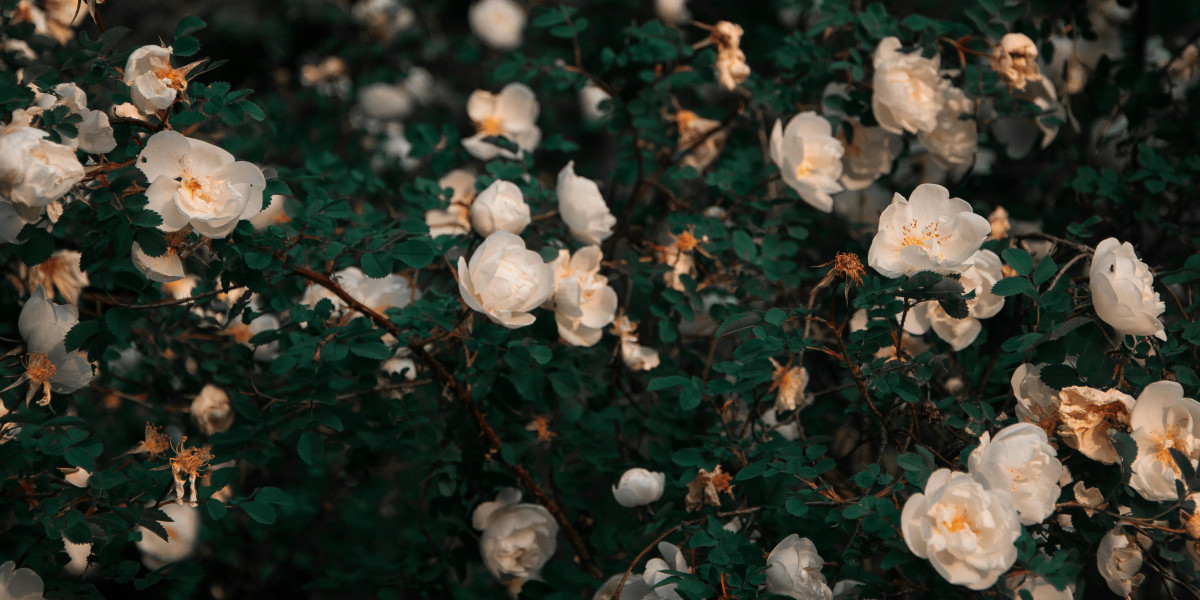 u4gm How to juice Vaal Temple for divines guide