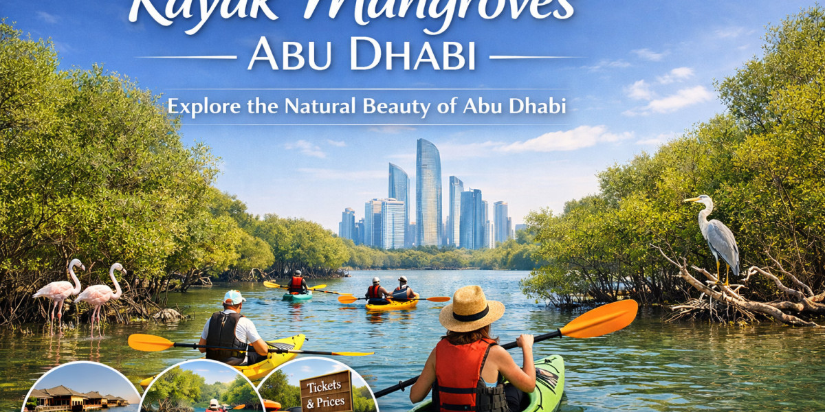 Kayak Mangroves Abu Dhabi: Discover Nature Beyond the City