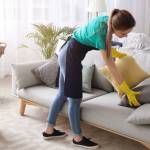 peter rota Profile Picture