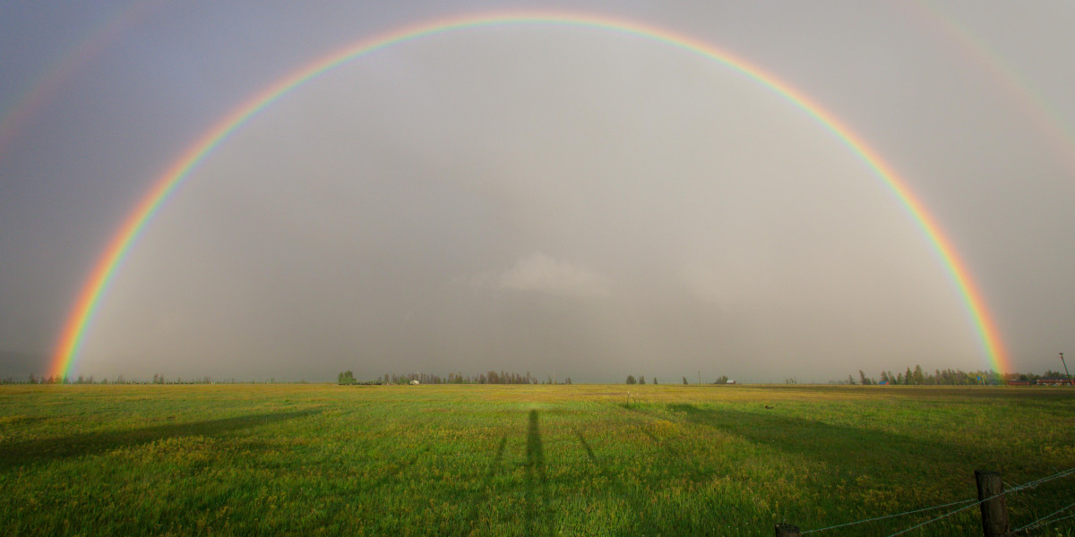 EZNPC how to farm Diablo 4 Season 11 mats and loot fast