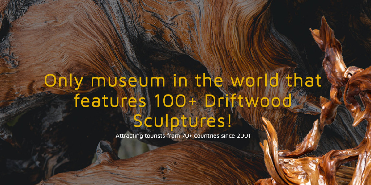 Places to Visit in Kottayam for Kids That Make Learning Fun