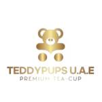 Teddy pupss Profile Picture