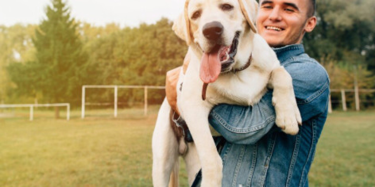 Why Some Pet Owners Prefer Home Euthanasia? How To Make The Decision?