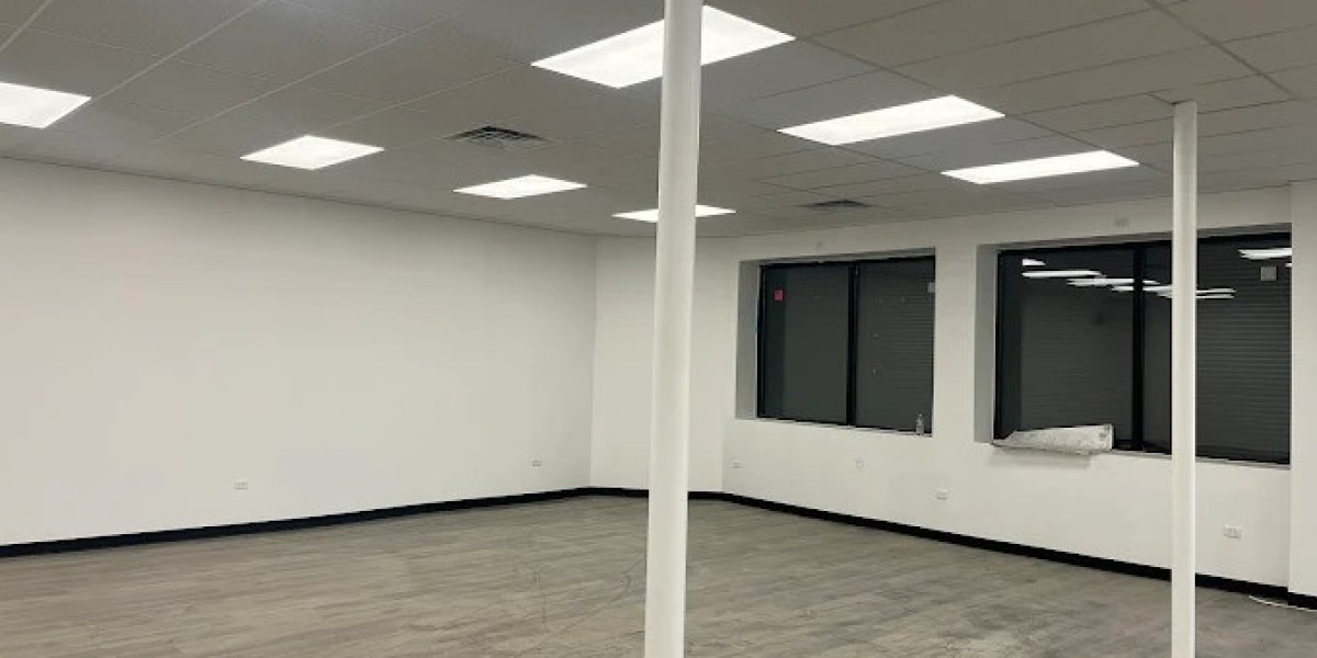 Professional Drywall Ceiling Repair in Elmwood Park, IL