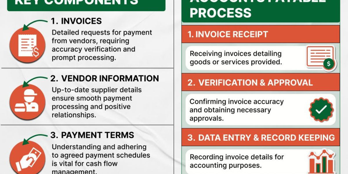 Instagram PVA Accounts Explained for Beginners