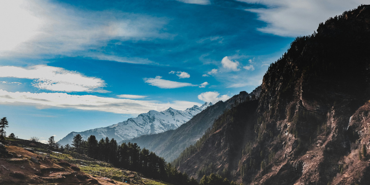 eznpc What Leaper Pulse Units Do And Where To Get Them