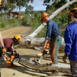 lumberestimator Profile Picture