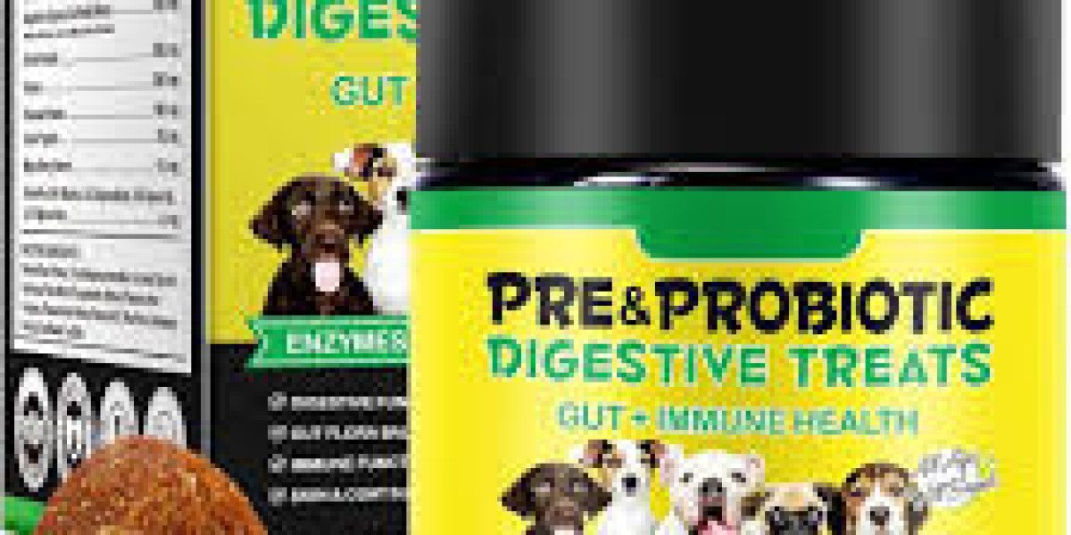 Gut Health Supplements for Dogs: A Complete Guide to a Happier, Healthier Pup