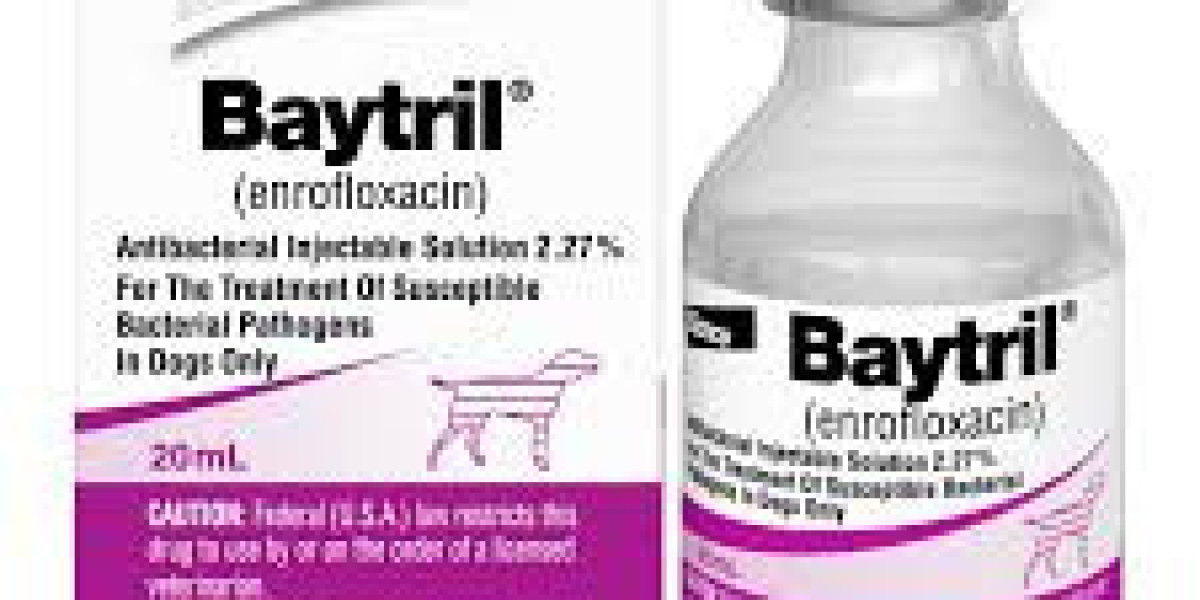 Enrofloxacin Baytril for Cats: Uses, Safety, and What Pet Owners Should Know