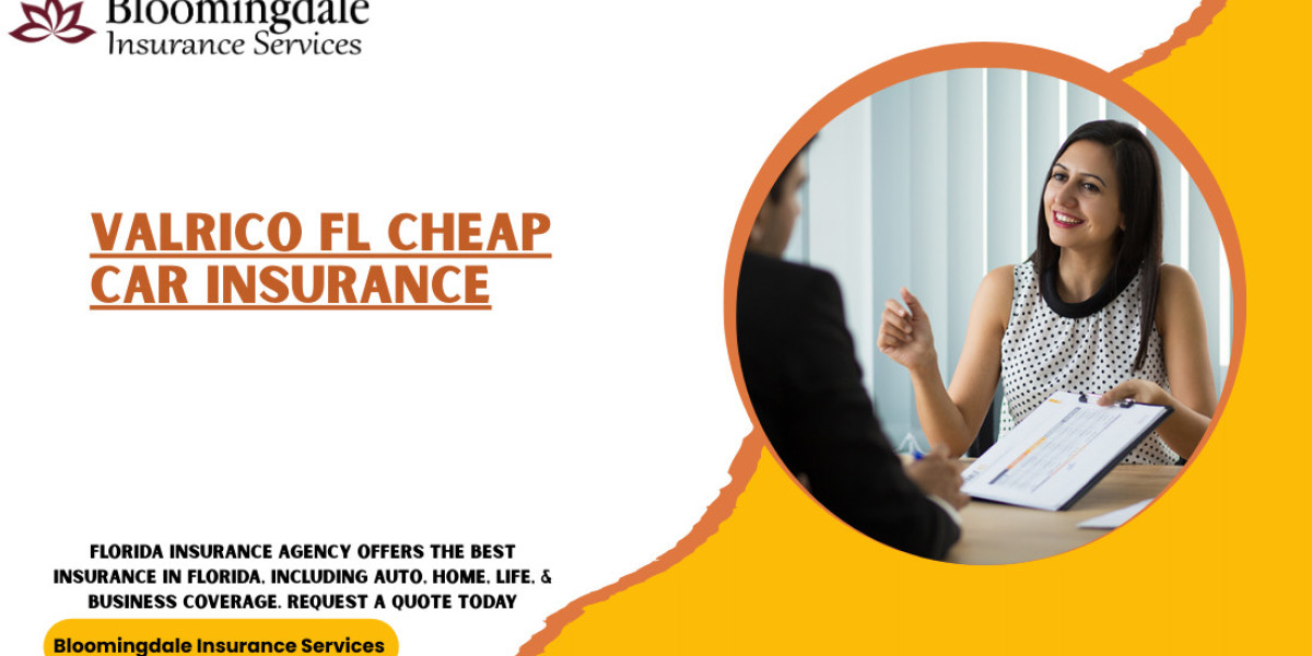 Valrico FL Cheap Car Insurance with Bloomingdale Insurance Services