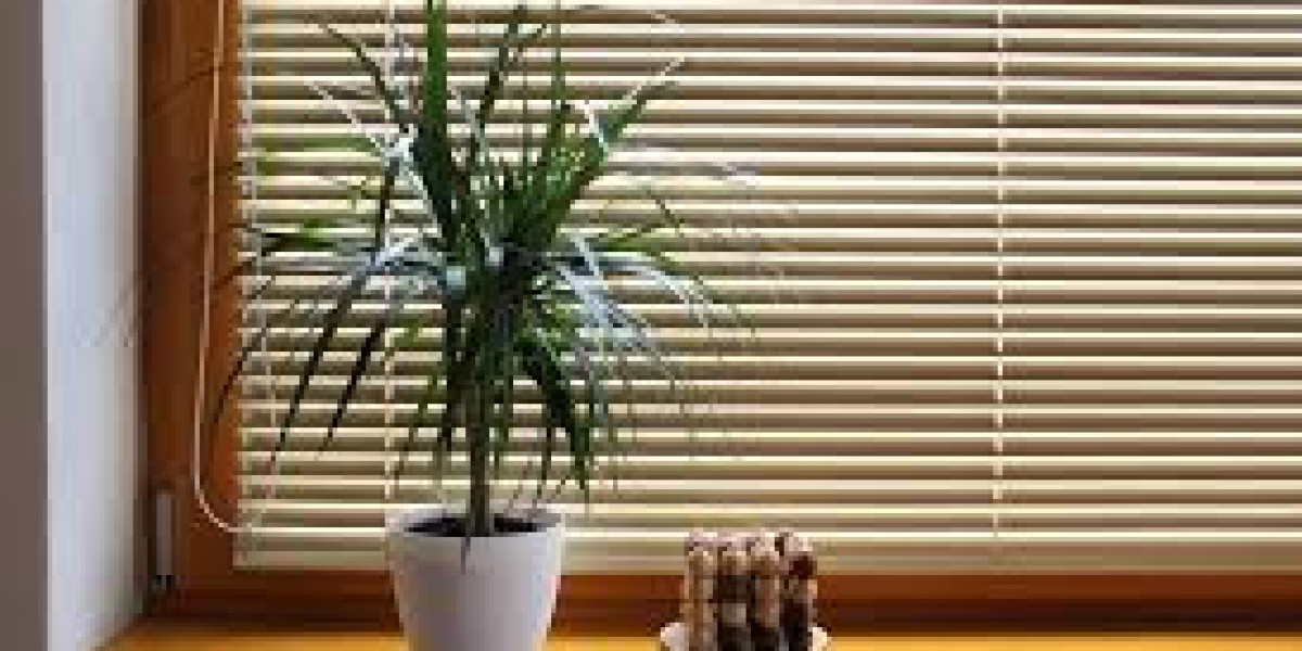 Maintenance and Care Tips for Venetian Blinds in Dubai