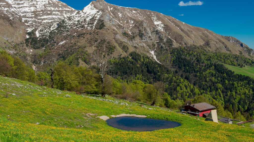 Auli Tour Packages from Delhi 2026 | Best Deals & Itineraries