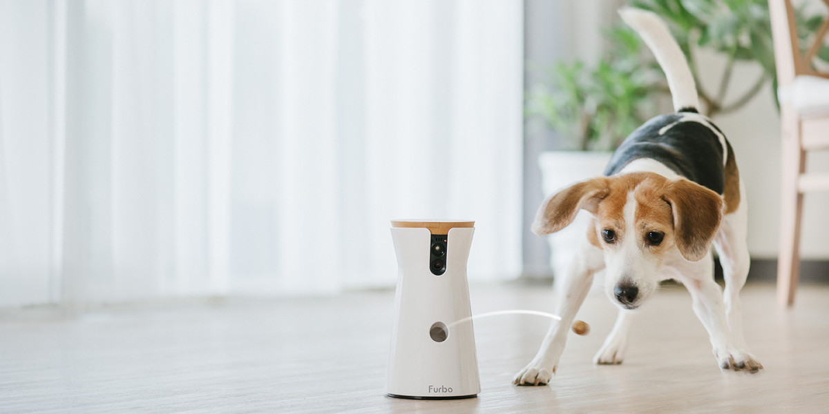 Watch Over Your Furry Friend: The Best Dog Cameras Without Subscription