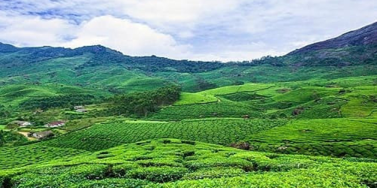 Opiniones de viajeros reales sobre experiencias de alojamiento en casa flotante en Alleppey